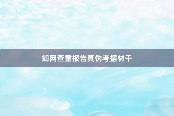 知网查重报告真伪考据材干