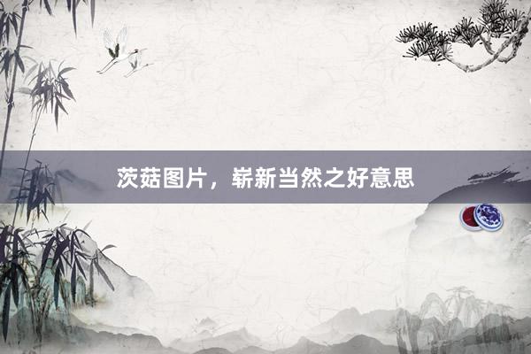 茨菇图片，崭新当然之好意思