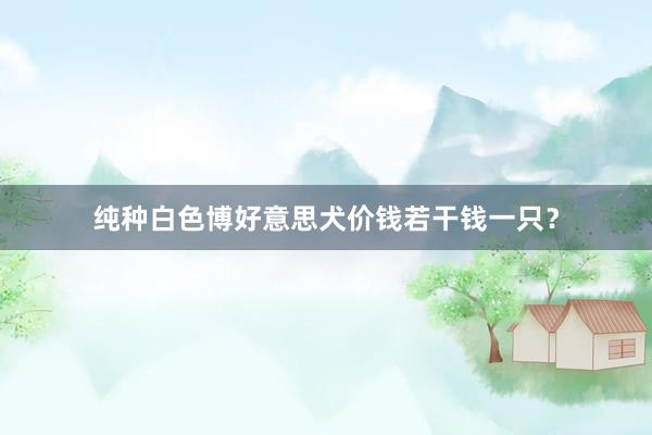 纯种白色博好意思犬价钱若干钱一只？