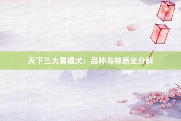 天下三大雪橇犬：品种与特质全分解
